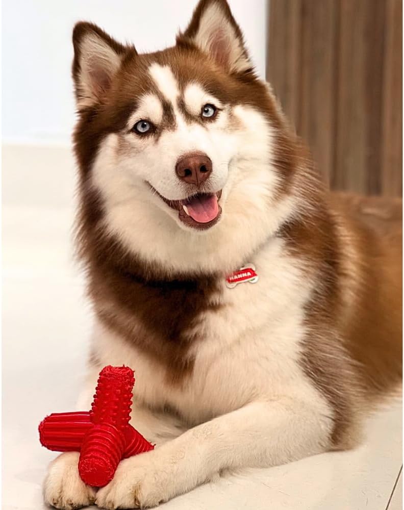 Pet Games Mordedor Tridimensional 4 Dogs Nylon Azul Pp Para Cães Azul - Imagem 6