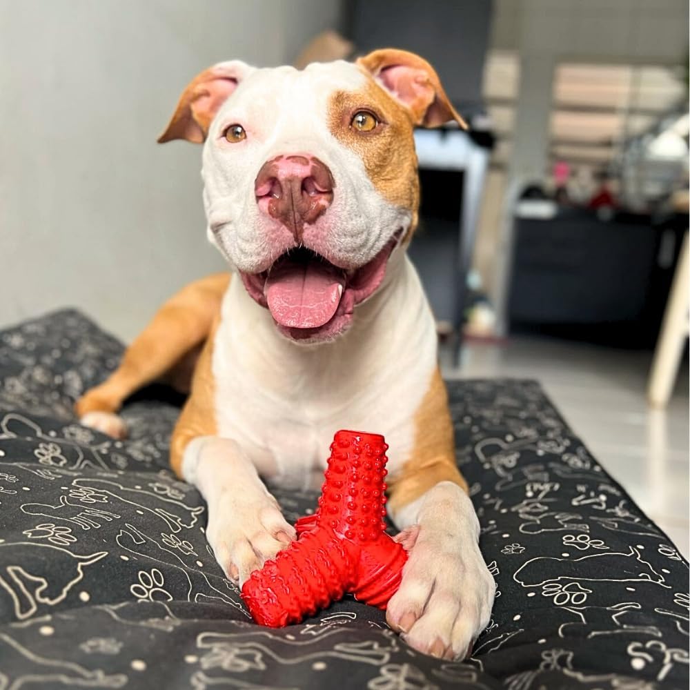 Pet Games Mordedor Tridimensional 4 Dogs Nylon Azul Tamanho P Para Cães - Imagem 6