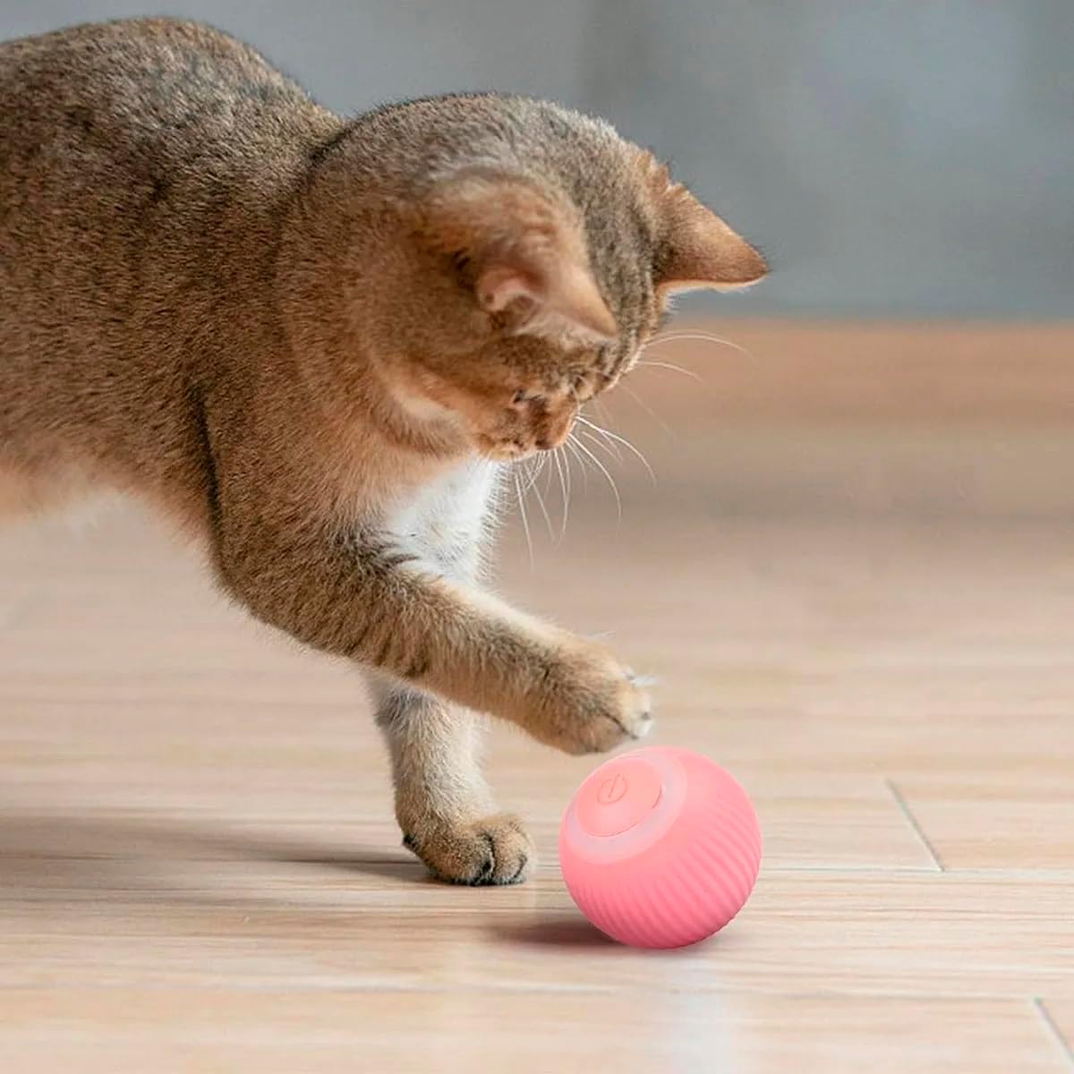Bola Giratoria Inteligente Gato Pet Bolinha Animal de Estimaçao Brinquedo Usb Bateria Recarrevagel Petshop Interativo Relaxante - Imagem 3