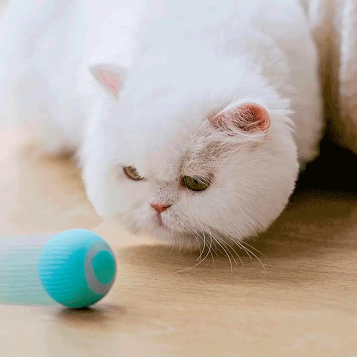 Bola Giratoria Inteligente Gato Pet Animal de Estimaçao Bolinha Brinquedo Usb Bateria Recarrevagel Petshop Interativo Relaxante Lazer - Imagem 7