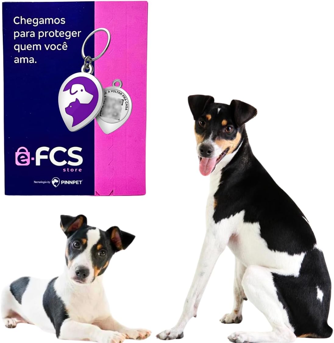 Pingente Inteligente QR Code para Pets Identificação Digital com Localização Notificações em Tempo Real, Cadastro Online, Atualização de Dados e Rede de Apoio Comunitária - Pinn Pet – E-FCS Store - Imagem 2