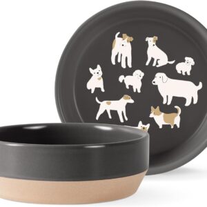 Fringe Studio Tigela para animais de estimação DOGGOS de grés médio, coleção PetShop (479008)
