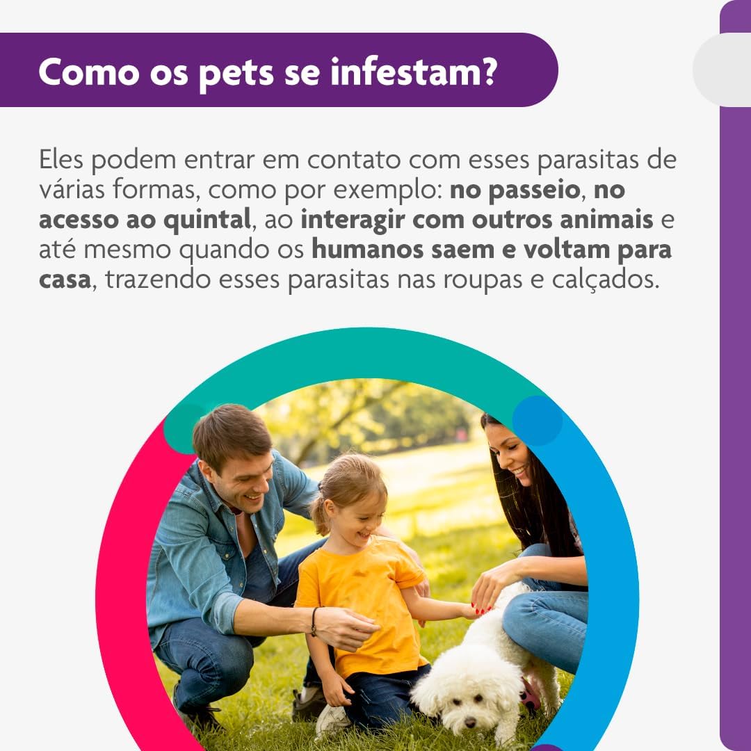 Bravecto® Cães 250mg - Antipulgas e Carrapatos - Cães de 4,5 a 10kg - 1 Comp. Mastigável - MSD Saúde Animal - Imagem 5
