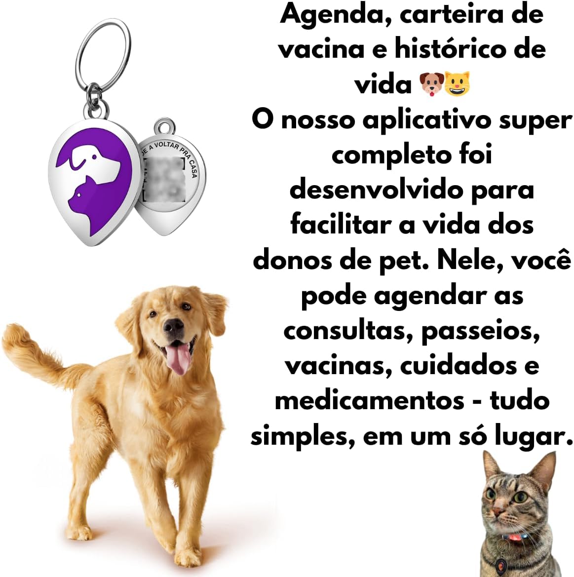 Pingente Inteligente QR Code para Pets Identificação Digital com Localização Notificações em Tempo Real, Cadastro Online, Atualização de Dados e Rede de Apoio Comunitária - Pinn Pet – E-FCS Store - Imagem 3