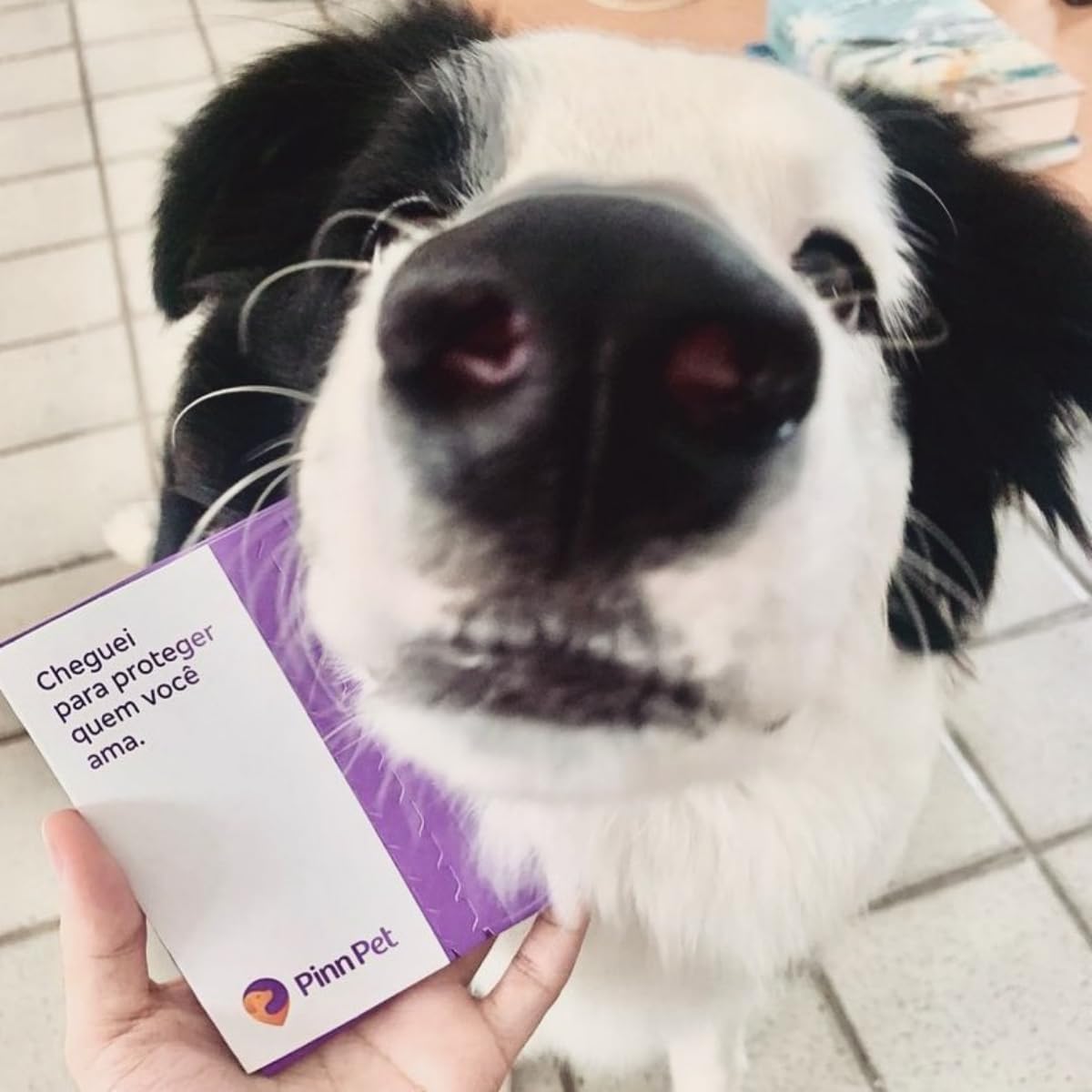 Pingente Inteligente QR Code para Pets Identificação Digital com Localização Notificações em Tempo Real, Cadastro Online, Atualização de Dados e Rede de Apoio Comunitária - Pinn Pet – E-FCS Store - Imagem 8