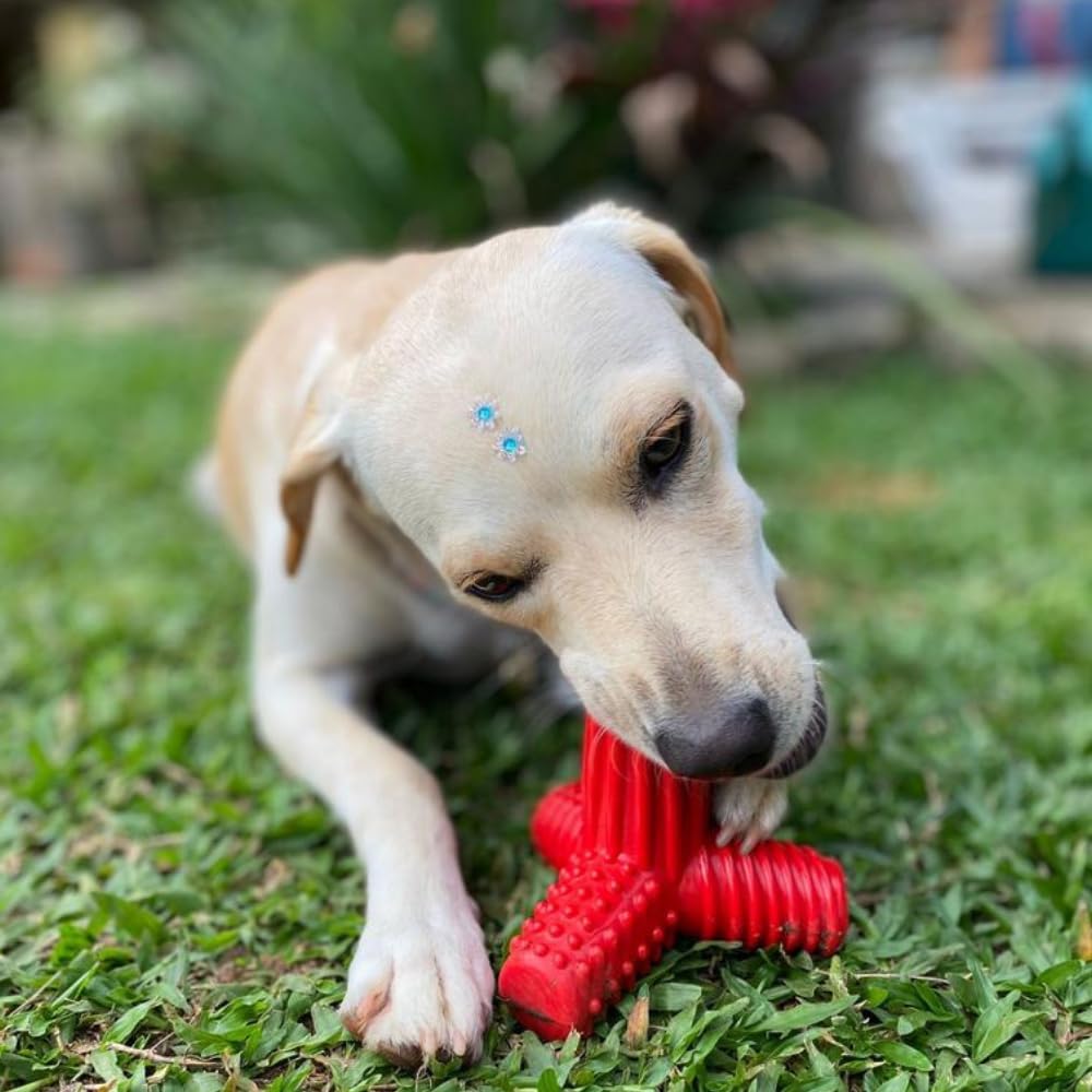 Pet Games Mordedor Tridimensional 4 Dogs Nylon Azul Tamanho P Para Cães - Imagem 5