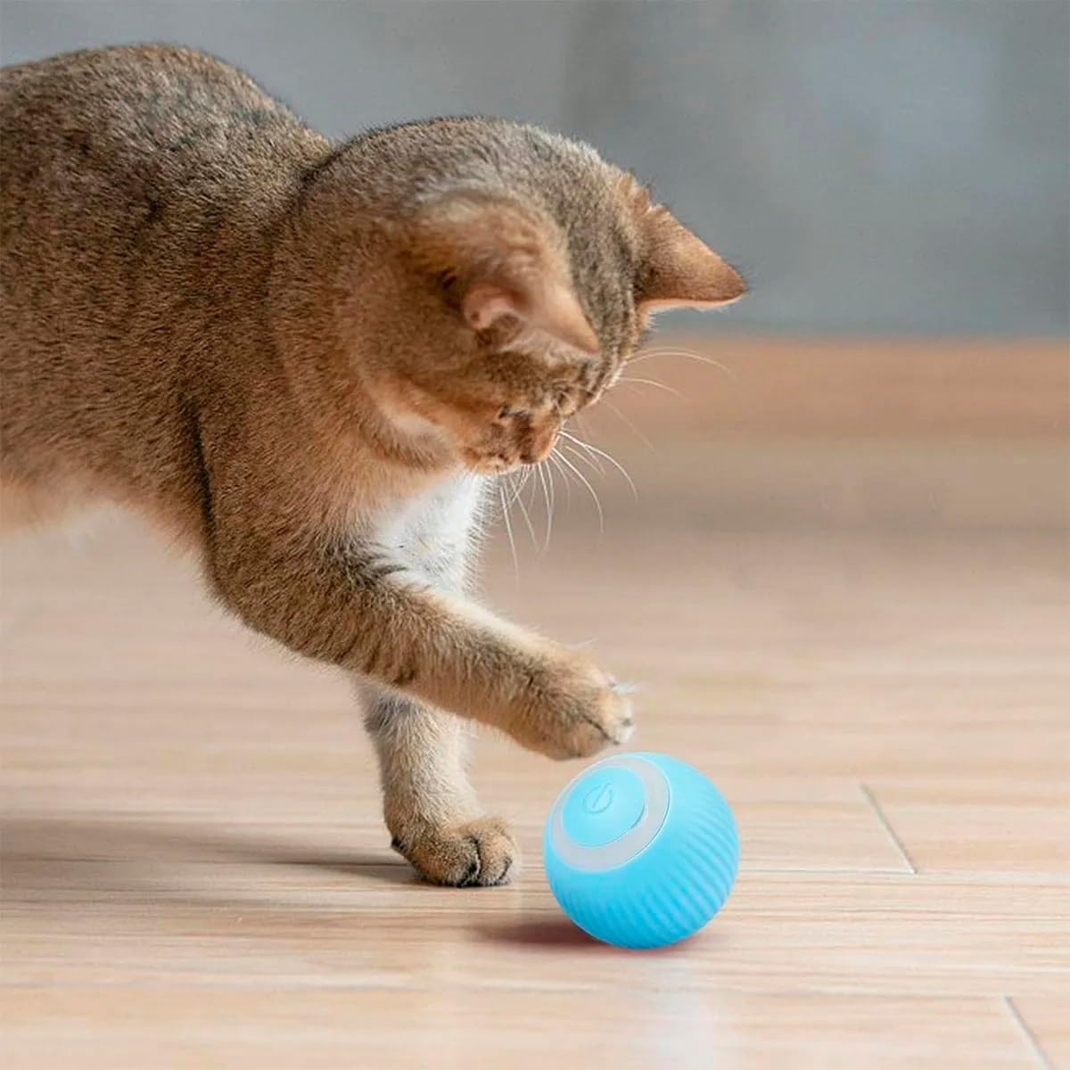 Bola Giratoria Inteligente Gato Pet Animal de Estimaçao Bolinha Brinquedo Usb Bateria Recarrevagel Petshop Interativo Relaxante Lazer - Imagem 4