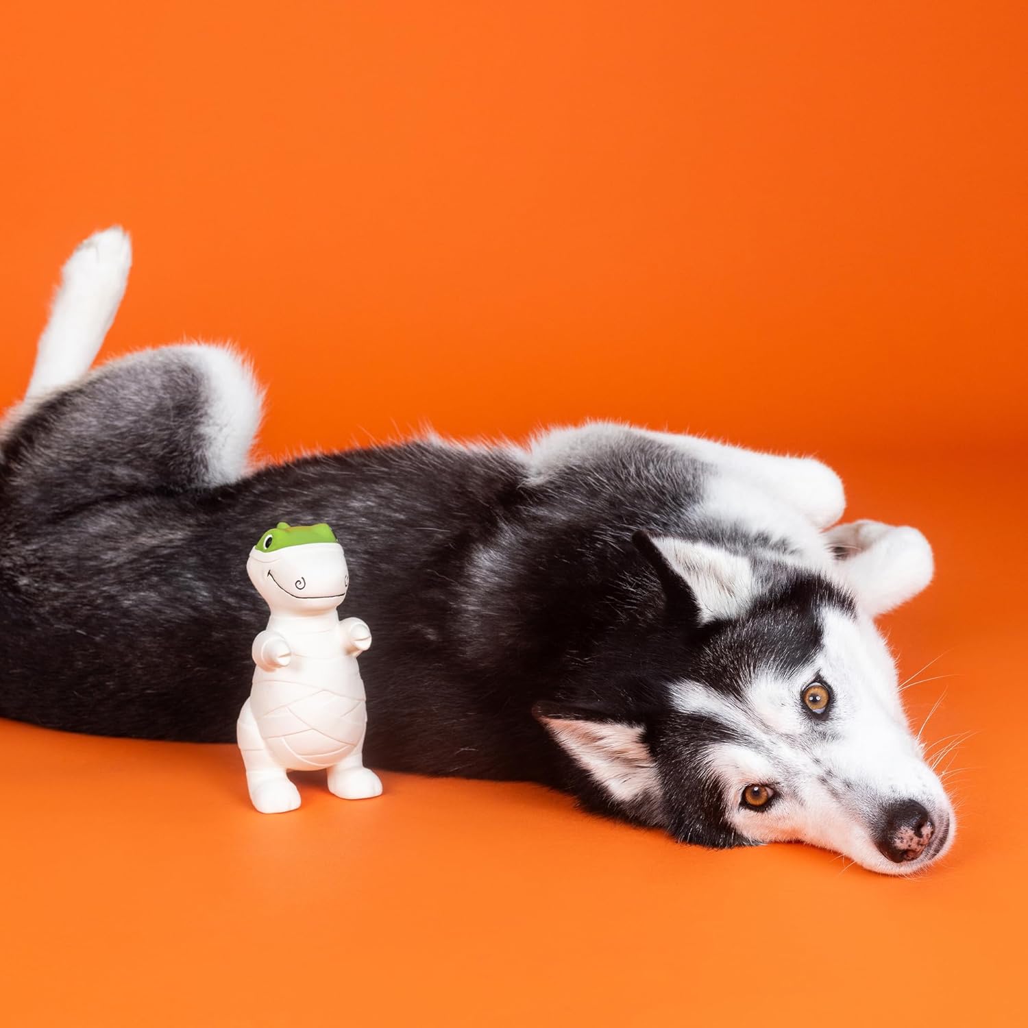 Fringe Studio Latex Dog Toy, HERE to Gauze Trouble PetShop Collection (366043) - Imagem 5