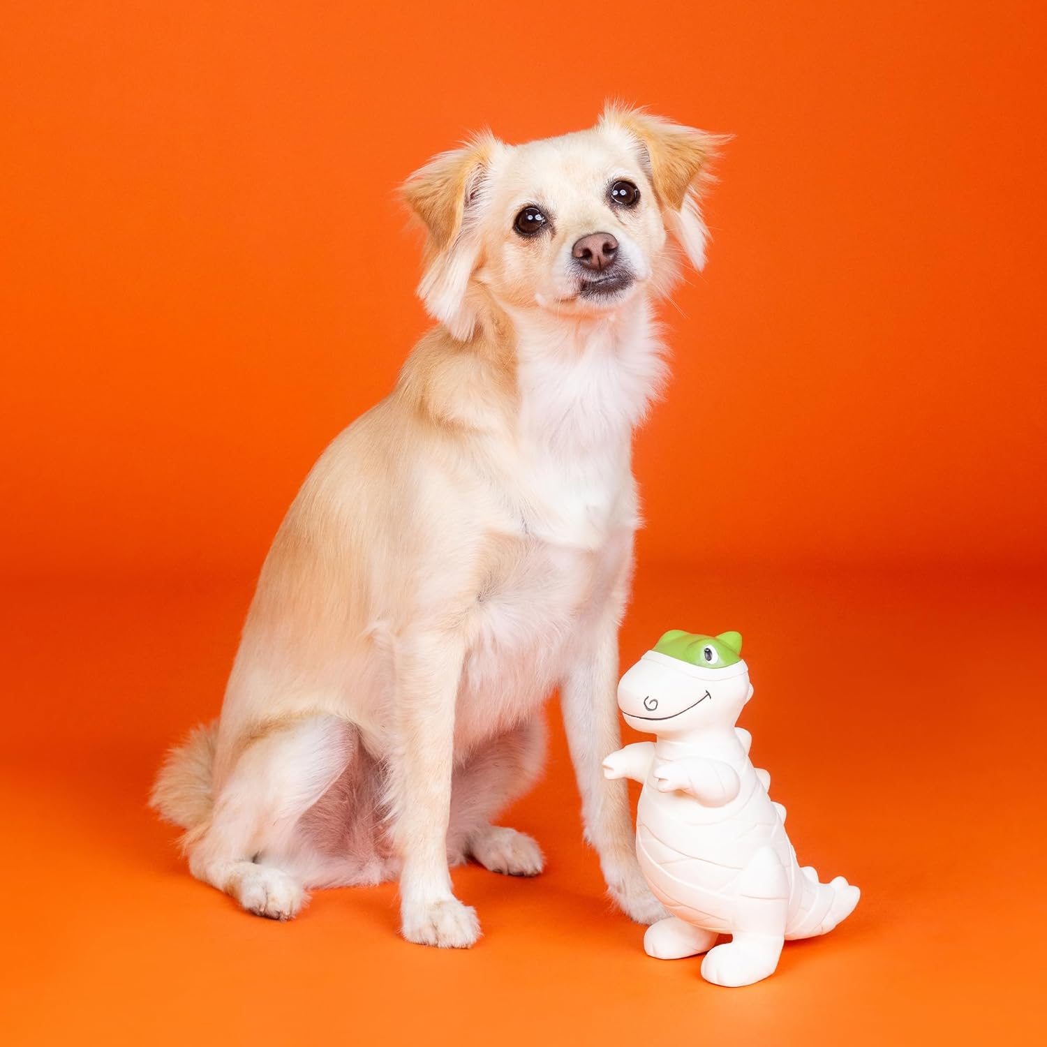 Fringe Studio Latex Dog Toy, HERE to Gauze Trouble PetShop Collection (366043) - Imagem 3
