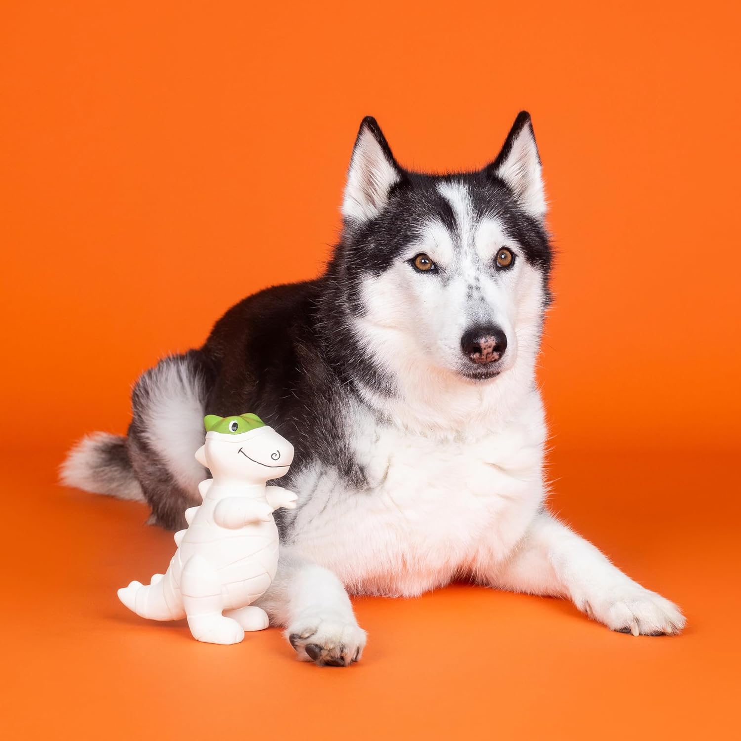 Fringe Studio Latex Dog Toy, HERE to Gauze Trouble PetShop Collection (366043) - Imagem 4