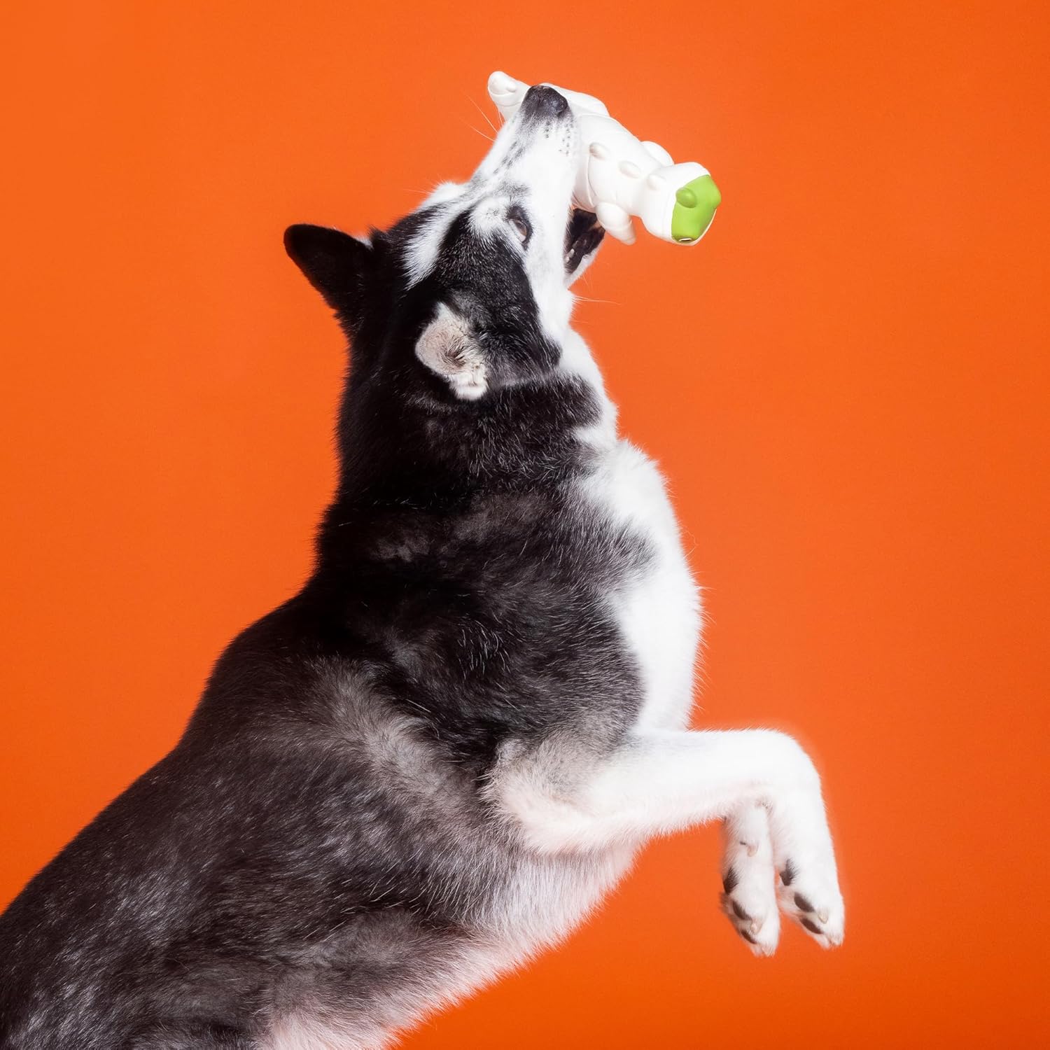 Fringe Studio Latex Dog Toy, HERE to Gauze Trouble PetShop Collection (366043) - Imagem 6