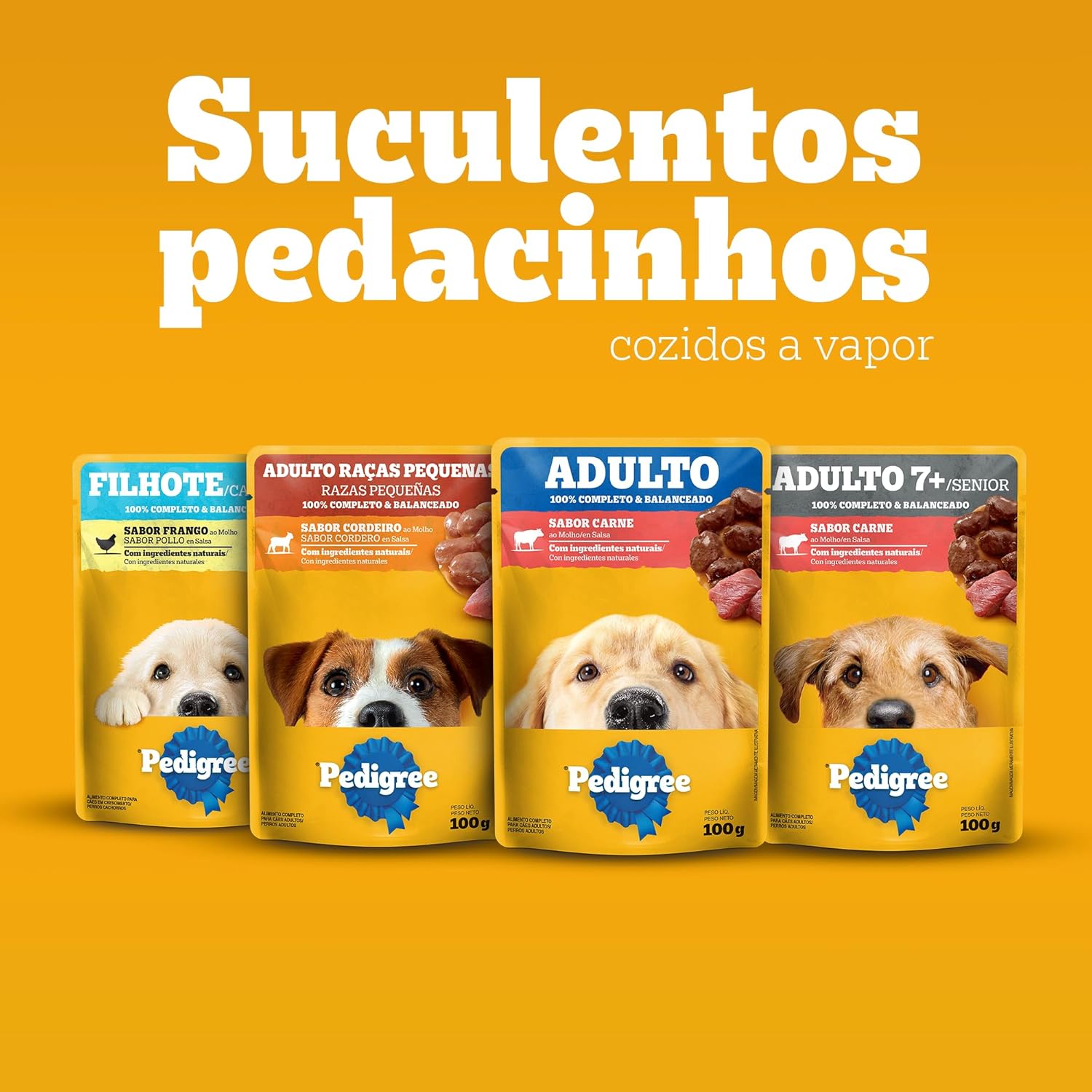 Ração Úmida Para Cachorros Pedigree Sachê Carne ao Molho Filhotes 100g - Imagem 10