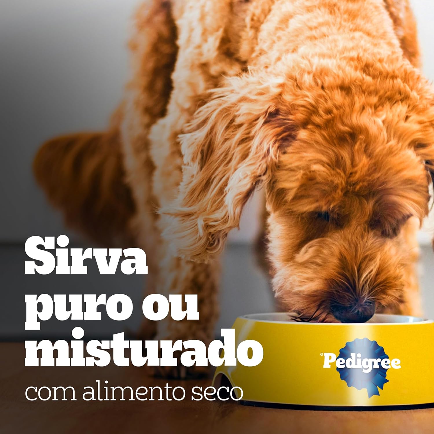 Ração Úmida Para Cachorros Pedigree Sachê Carne ao Molho Filhotes 100g - Imagem 11